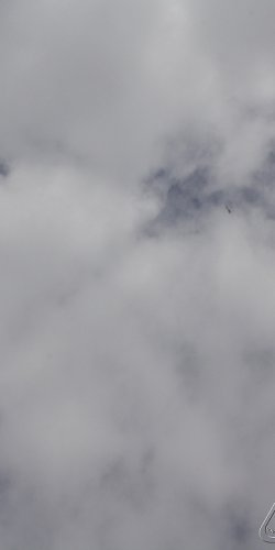 2013 Svojek Mirek Topinka